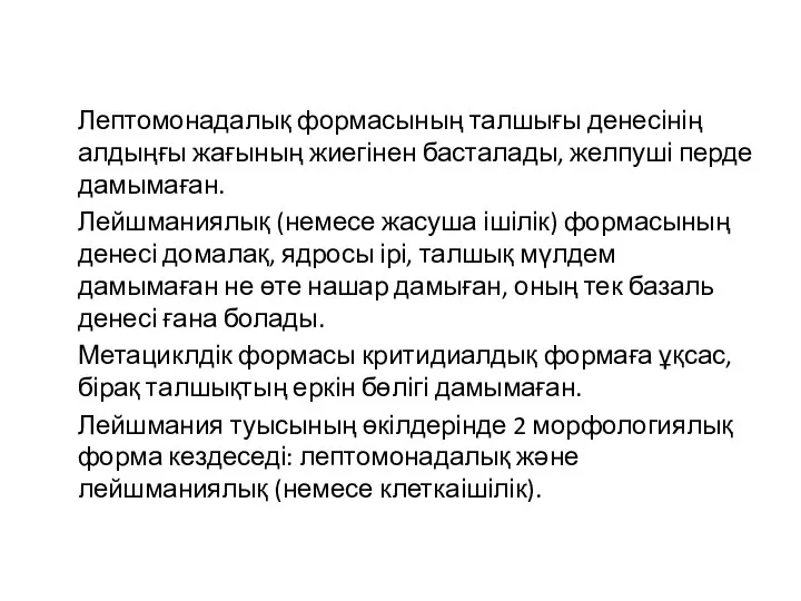 Лептомонадалық формасының талшығы денесінің алдыңғы жағының жиегінен басталады, желпуші перде дамымаған. Лейшманиялық