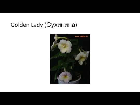 Golden Lady (Сухинина)