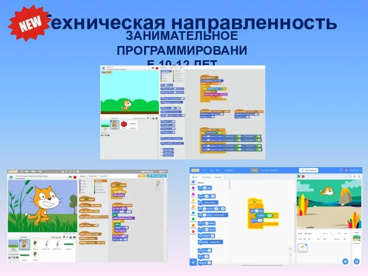 Техническая направленность ЗАНИМАТЕЛЬНОЕ ПРОГРАММИРОВАНИЕ 10-12 ЛЕТ