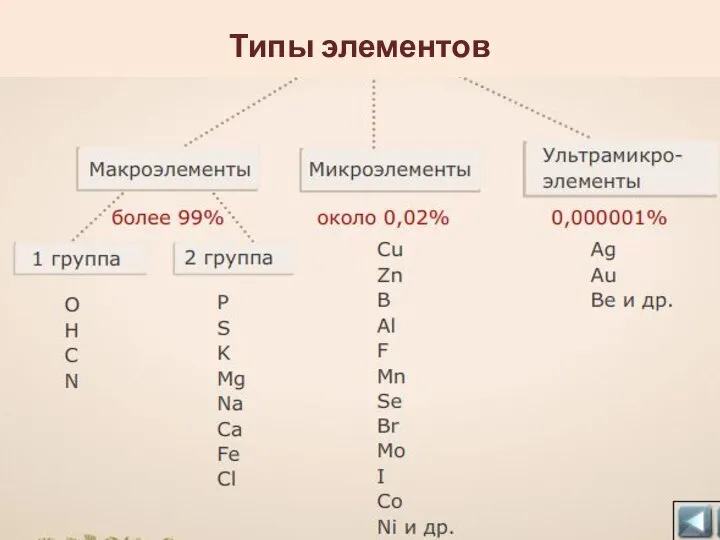 Типы элементов