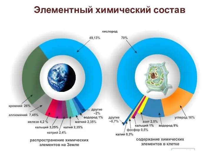 Элементный химический состав