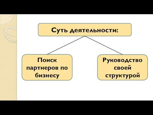 Суть деятельности: Руководство своей структурой Поиск партнеров по бизнесу