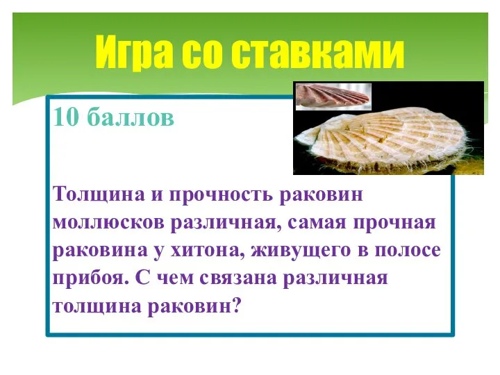 10 баллов Толщина и прочность раковин моллюсков различная, самая прочная раковина у