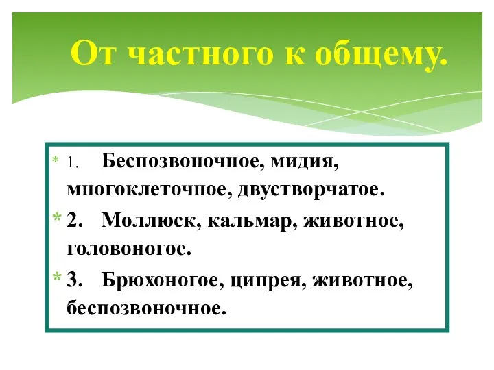 1. Беспозвоночное, мидия, многоклеточное, двустворчатое. 2. Моллюск, кальмар, животное, головоногое. 3. Брюхоногое,