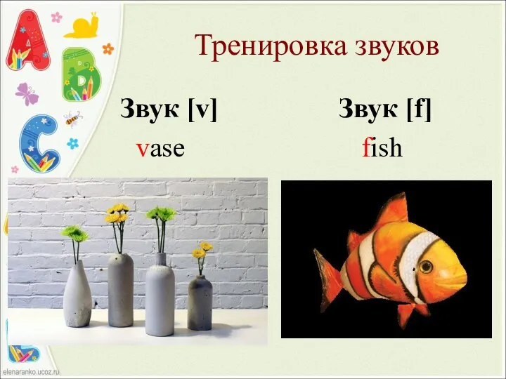Тренировка звуков Звук [v] Звук [f] vase fish