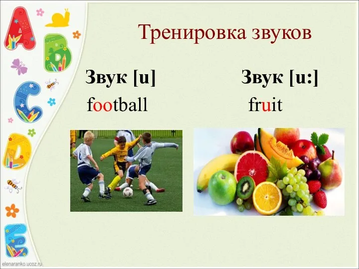 Тренировка звуков Звук [u] Звук [u:] football fruit