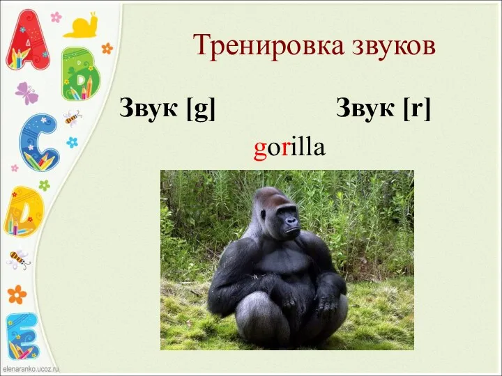 Тренировка звуков Звук [g] Звук [r] gorilla