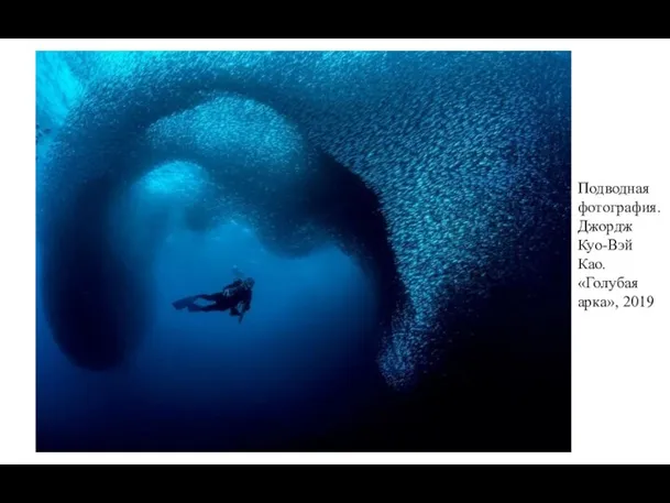 Подводная фотография. Джордж Куо-Вэй Као. «Голубая арка», 2019