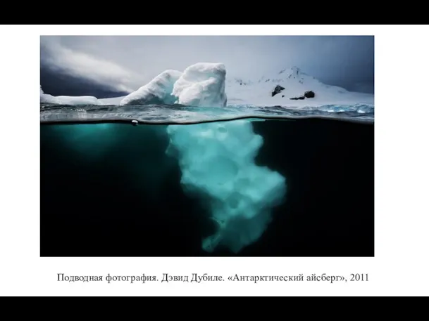 Подводная фотография. Дэвид Дубиле. «Антарктический айсберг», 2011