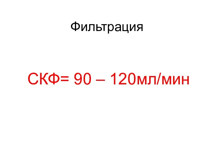 Фильтрация СКФ= 90 – 120мл/мин