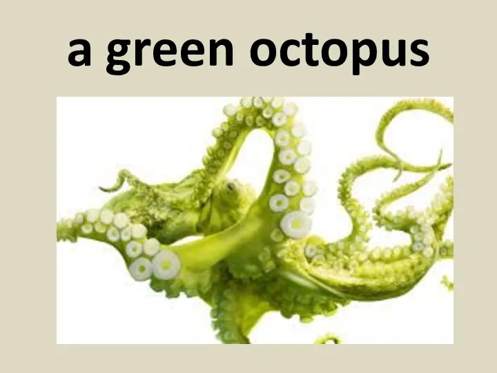 a green octopus