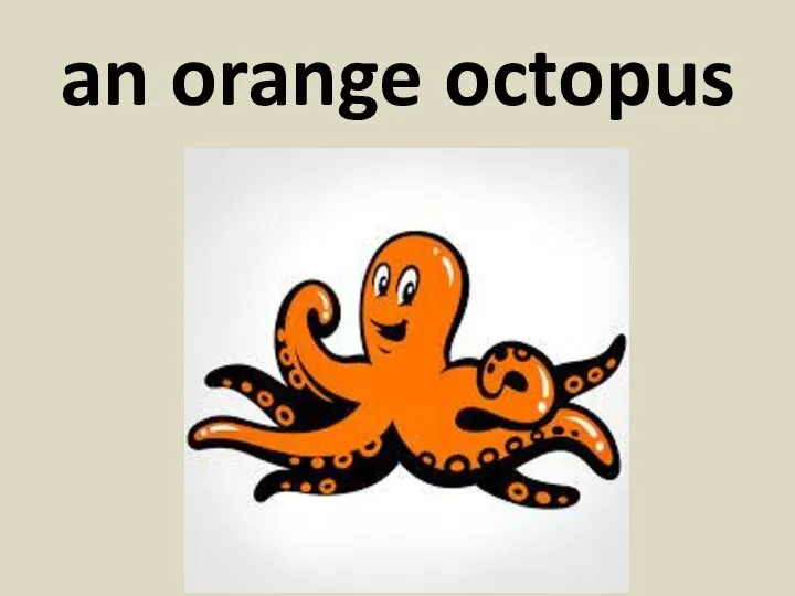 an orange octopus