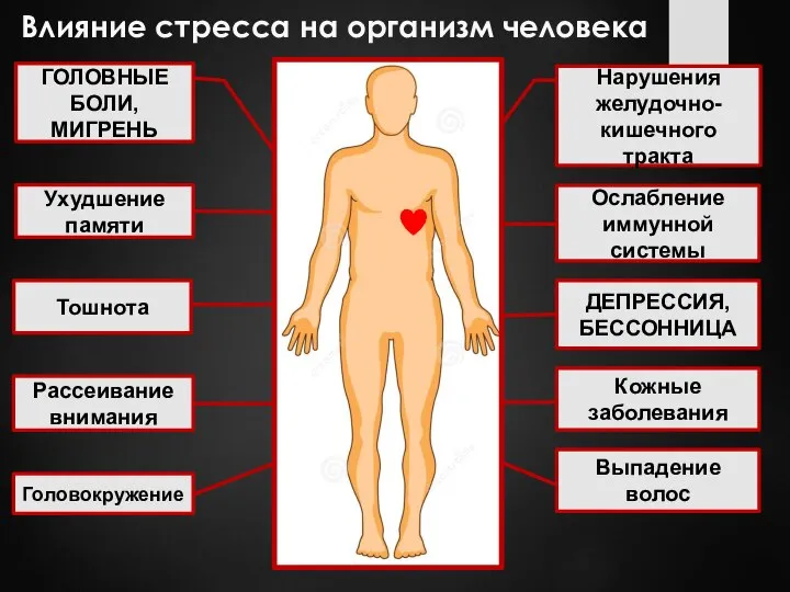 Влияние стресса на организм человека Нарушения желудочно-кишечного тракта ГОЛОВНЫЕ БОЛИ, МИГРЕНЬ Ослабление