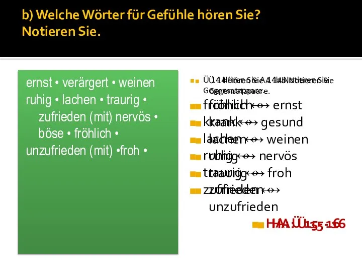 b) Welche Wörter für Gefühle hören Sie? Notieren Sie. ernst • verärgert