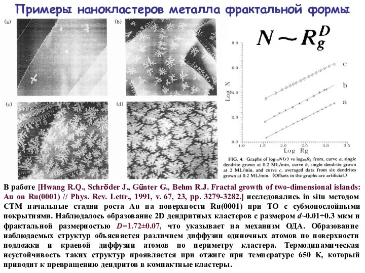 Примеры нанокластеров металла фрактальной формы В работе [Hwang R.Q., Schröder J., Günter