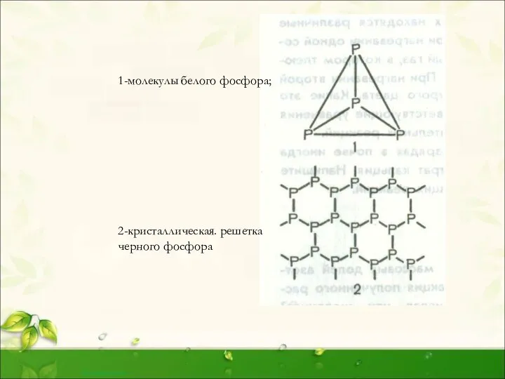 1-молекулы белого фосфора; 2-кристаллическая. решетка черного фосфора