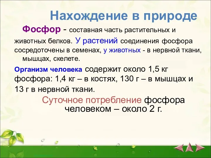 Нахождение в природе Фосфор - составная часть растительных и животных белков. У