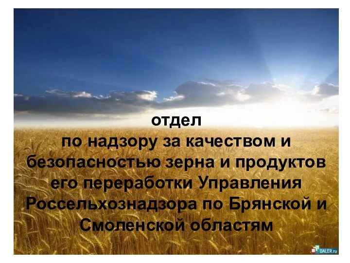 Отдел по надзору за качеством зерна и продуктов его переработки Управления Россельхознадзора