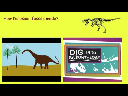 How Dinosaur fossils made?