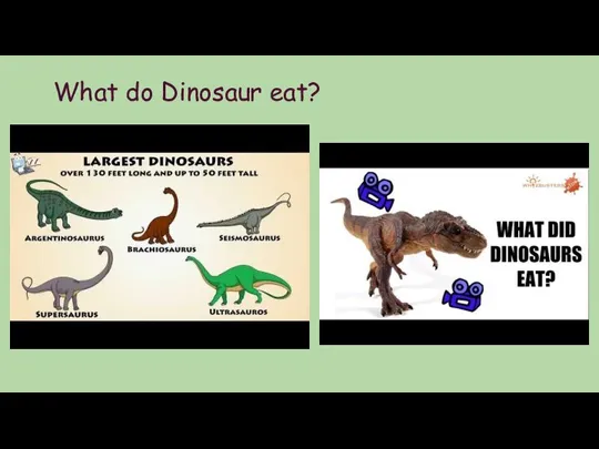 What do Dinosaur eat?