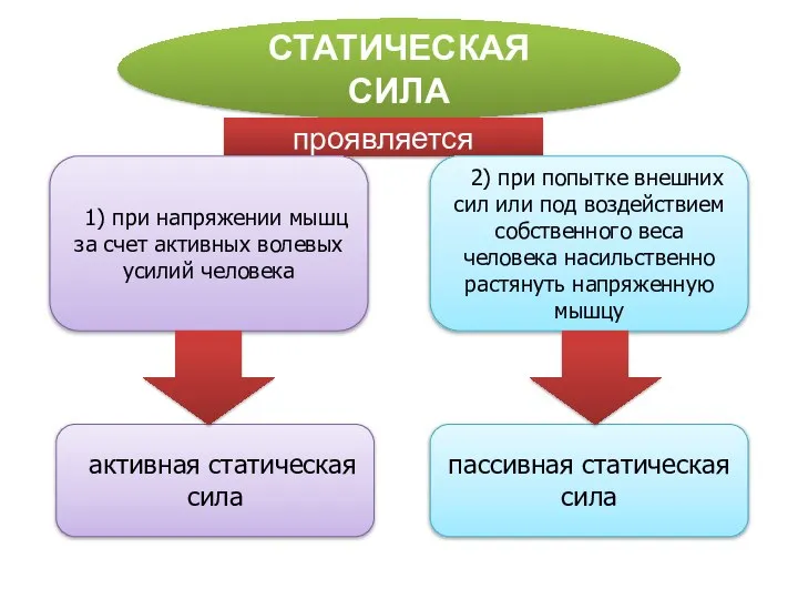 СТАТИЧЕСКАЯ СИЛА проявляется 1) при напряжении мышц за счет активных волевых усилий