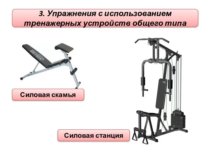 3. Упражнения с использованием тренажерных устройств общего типа Силовая скамья Силовая станция