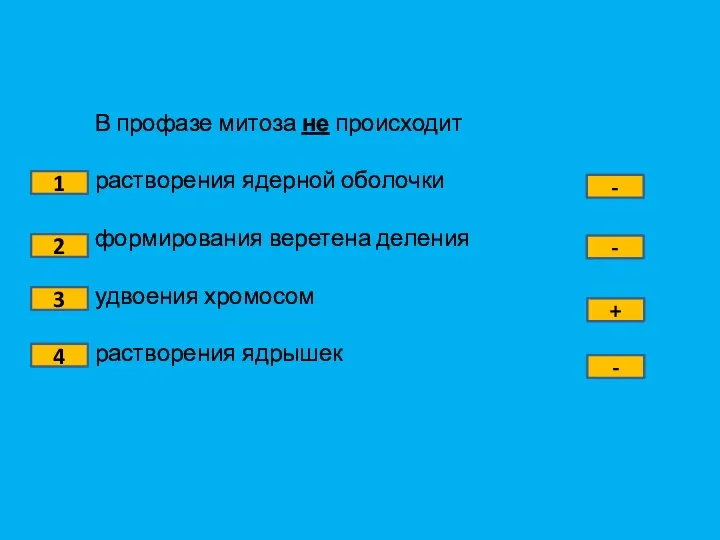 В профазе митоза не происходит растворения ядерной оболочки формирования веретена деления удвоения