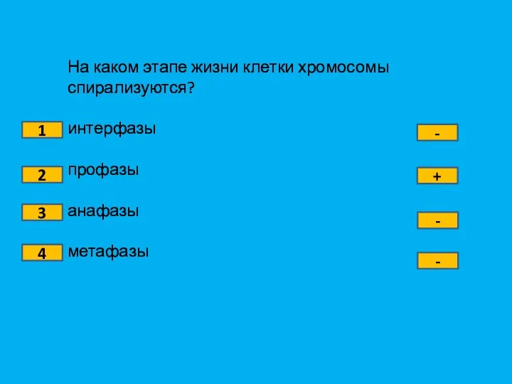 На каком этапе жизни клетки хромосомы спирализуются? интерфазы профазы анафазы метафазы 1