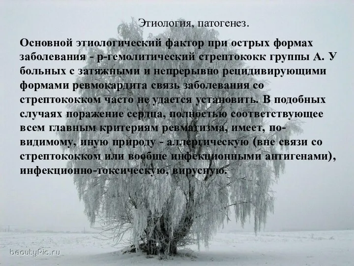 Этиология, патогенез. Основной этиологический фактор при острых формах заболевания - р-гемолитический стрептококк