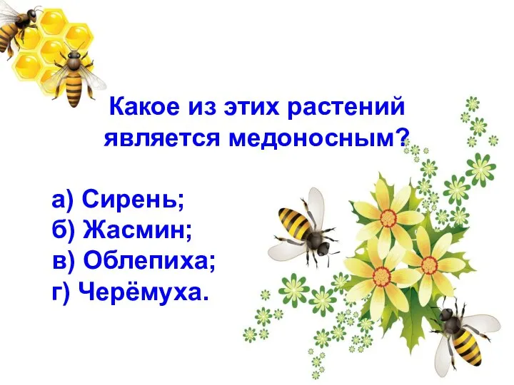 Какое из этих растений является медоносным? а) Сирень; б) Жасмин; в) Облепиха; г) Черёмуха.