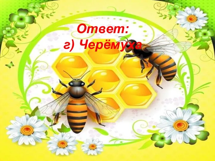 Ответ: г) Черёмуха