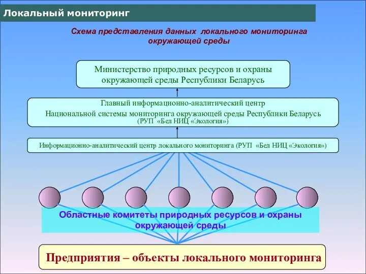 Локальный мониторинг Схема представления данных локального мониторинга окружающей среды Министерство природных ресурсов