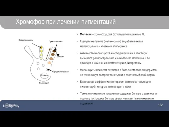 Хромофор при лечении пигментаций Меланин – хромофор для фототерапии в режиме PL