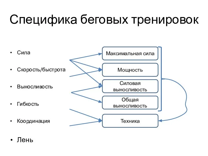 Специфика беговых тренировок Сила Скорость/быстрота Выносливость Гибкость Координация Лень Максимальная сила Мощность