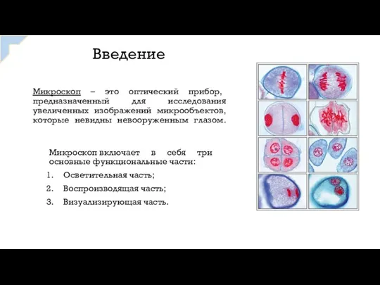 Введение Микроскоп – это оптический прибор, предназначенный для исследования увеличенных изображений микрообъектов,