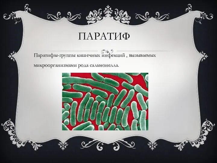 ПАРАТИФ Паратифы-группы кишечных инфекций , вызываемых микроорганизмами рода сальмонелла.