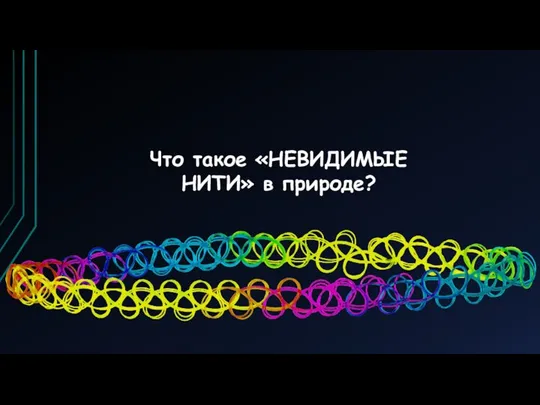 Что такое «НЕВИДИМЫЕ НИТИ» в природе?