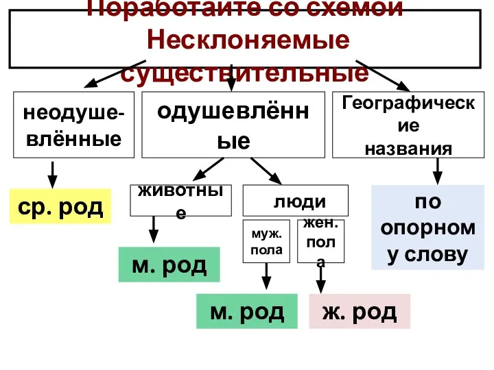 Поработайте со схемой Несклоняемые существительные неодуше- влённые одушевлённые Географические названия животные люди