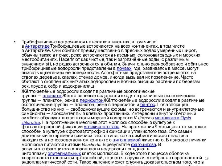 Трибофициевые встречаются на всех континентах, в том числе в АнтарктидеТрибофициевые встречаются на