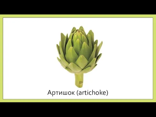 Артишок (artichoke)