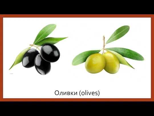 Оливки (olives)