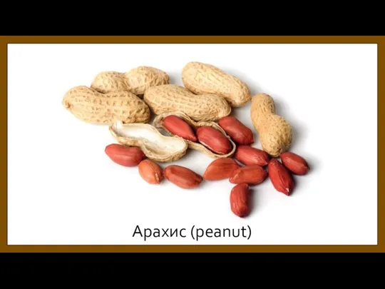 Арахис (peanut)