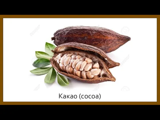 Какао (cocoa)