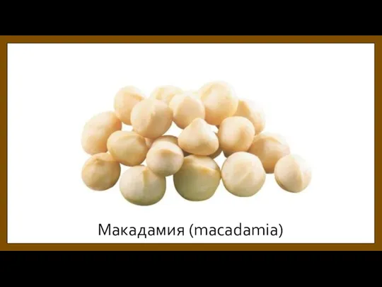 Макадамия (macadamia)