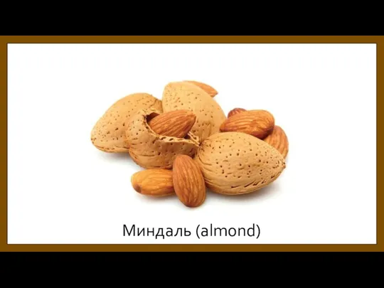 Миндаль (almond)