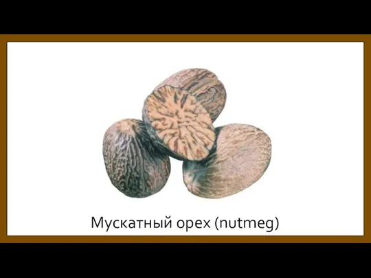 Мускатный орех (nutmeg)