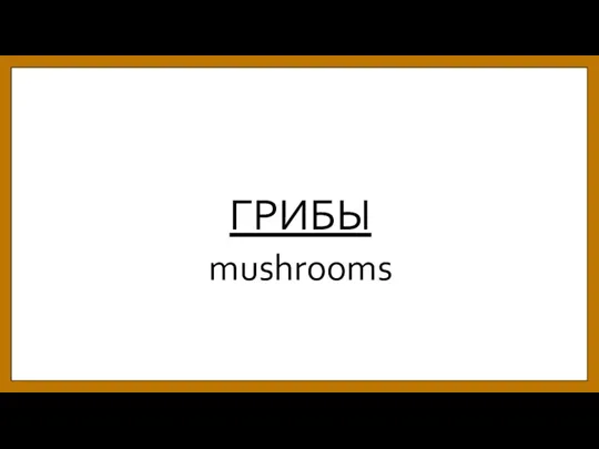 ГРИБЫ mushrooms