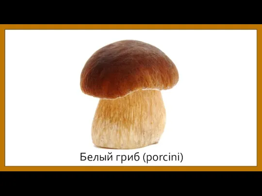 Белый гриб (porcini)