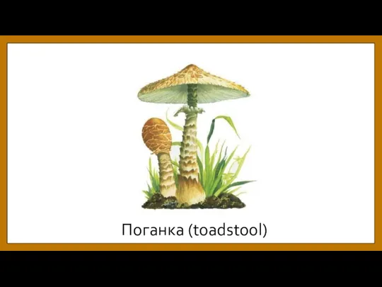 Поганка (toadstool)