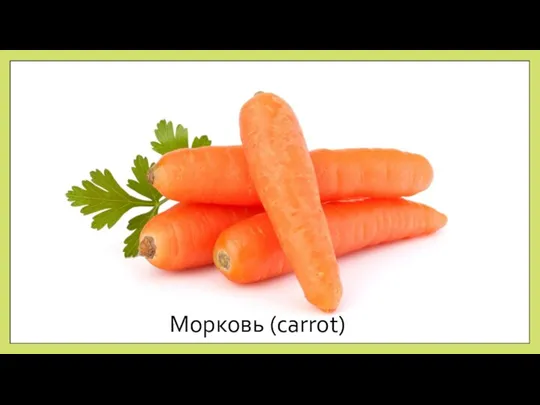 Морковь (carrot)